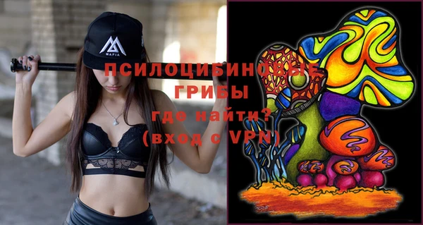 ГАЛЛЮЦИНОГЕННЫЕ ГРИБЫ Абдулино