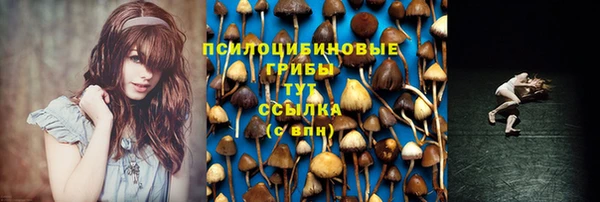 ГАЛЛЮЦИНОГЕННЫЕ ГРИБЫ Абдулино
