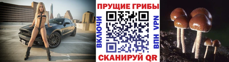 Псилоцибиновые грибы мухоморы  Абдулино 